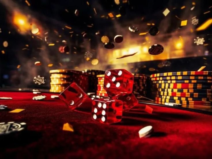 s55 s55 Sportsbook ke andar kya hai